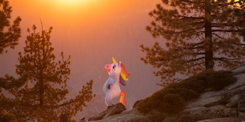 Does The Bible Mention Unicorns? Examples and Importance