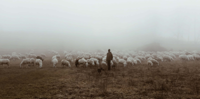 Christian Meditations on Psalm 23 (The Lord is my Shepherd)