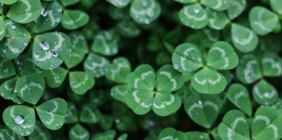 Do Christians Believe in Luck? The Complete Answer